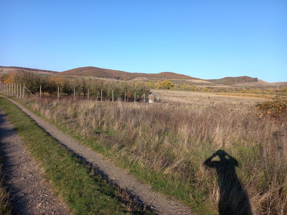 Teren intravilan cu acte la zi