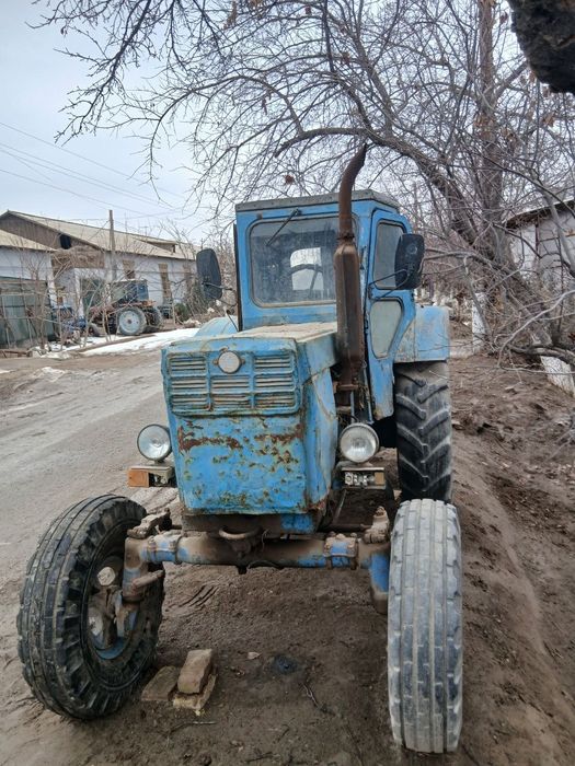 Yangibozor chubolonchi