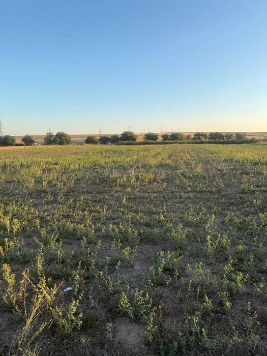 Teren intravilan 4.003 mp Frecatei, Tulcea - drum pe 3 laturi, curent