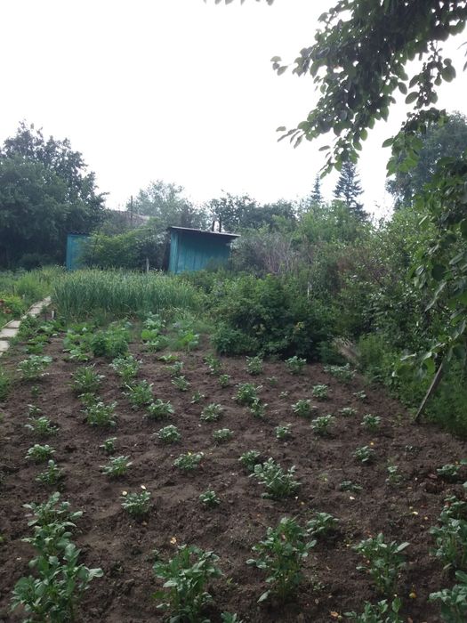 Дача в Иртшском строителе