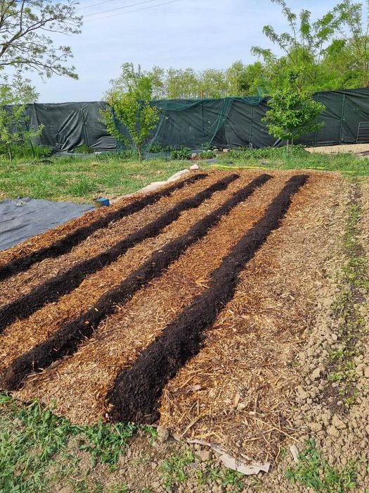 Tocatura lemn/mulci pentru decor gradina, permacultura