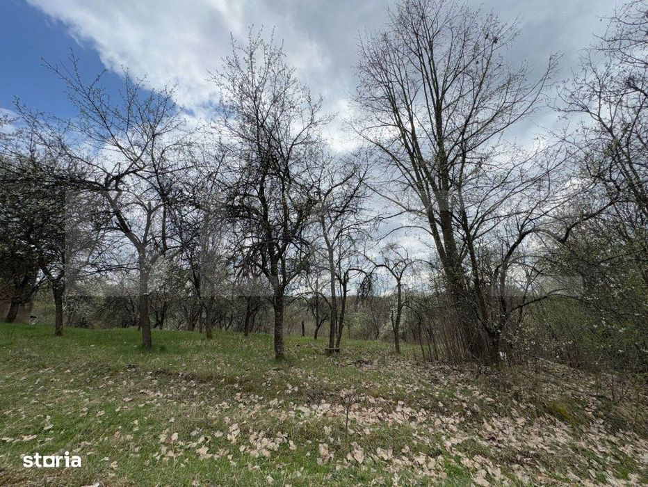 Vand casa cu 1 ha de livada in Carmazanesti