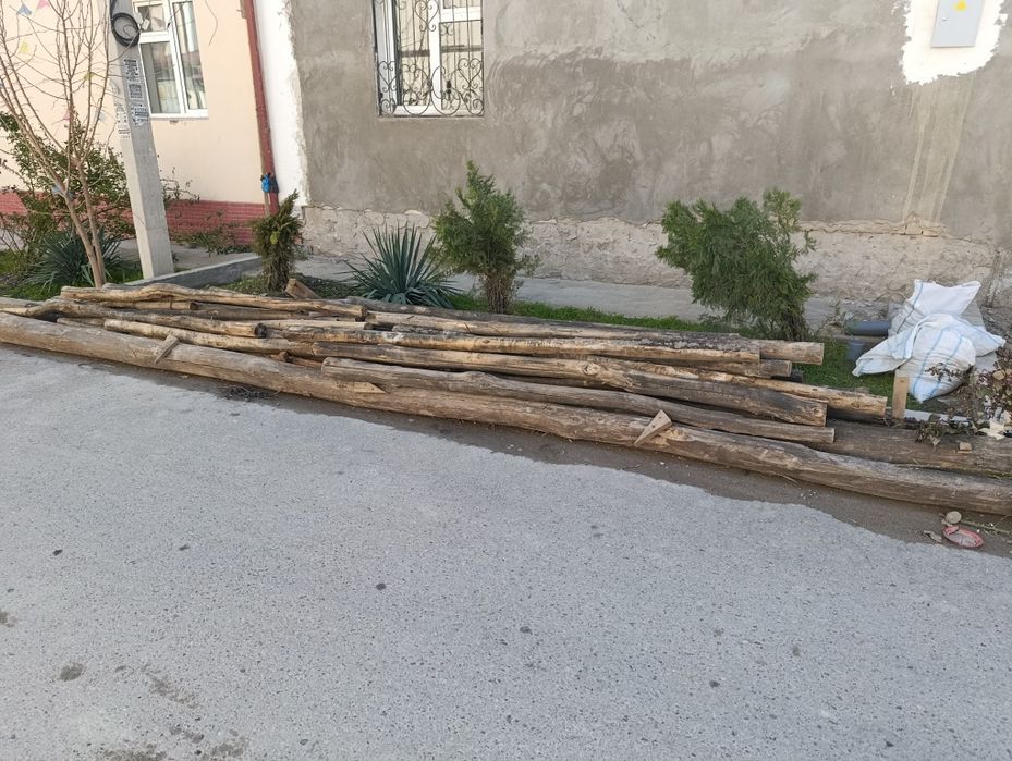 Продаются Дрова и сосны для дома