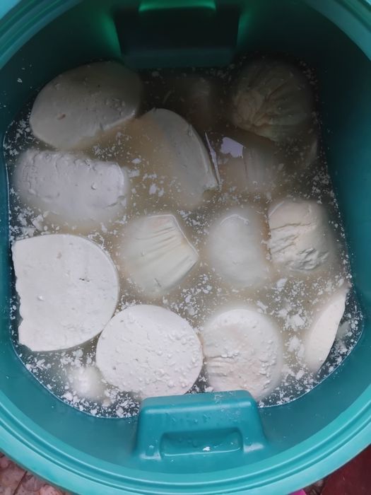 Brânză de vaca Albeni județul Gorj