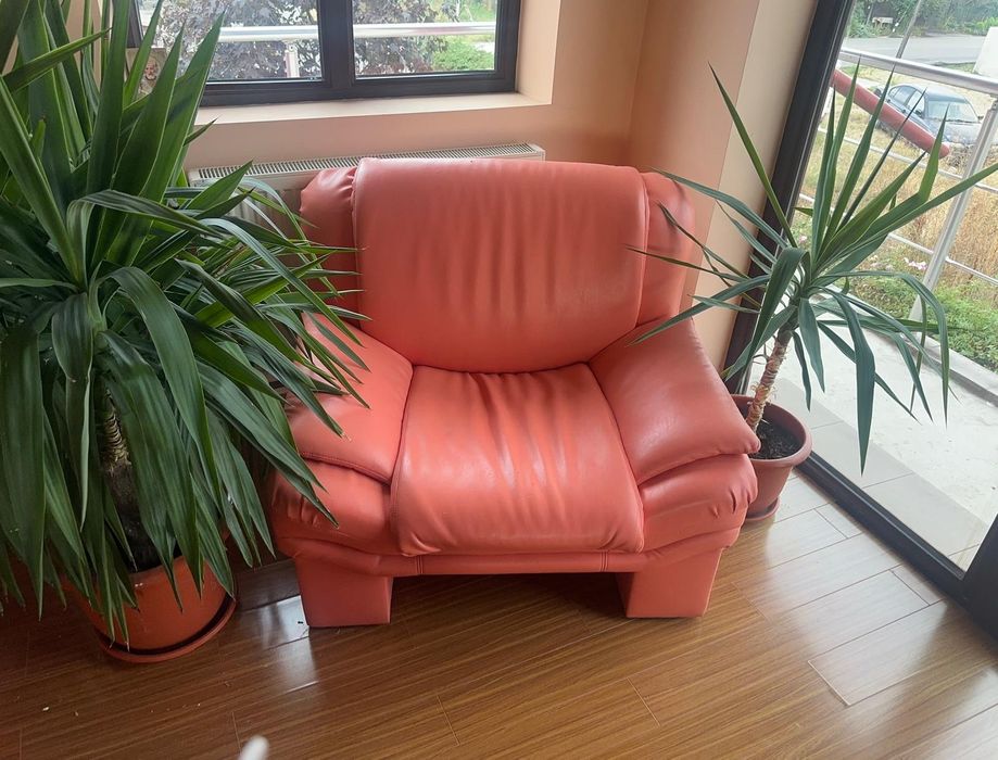 Canapea extensibilă