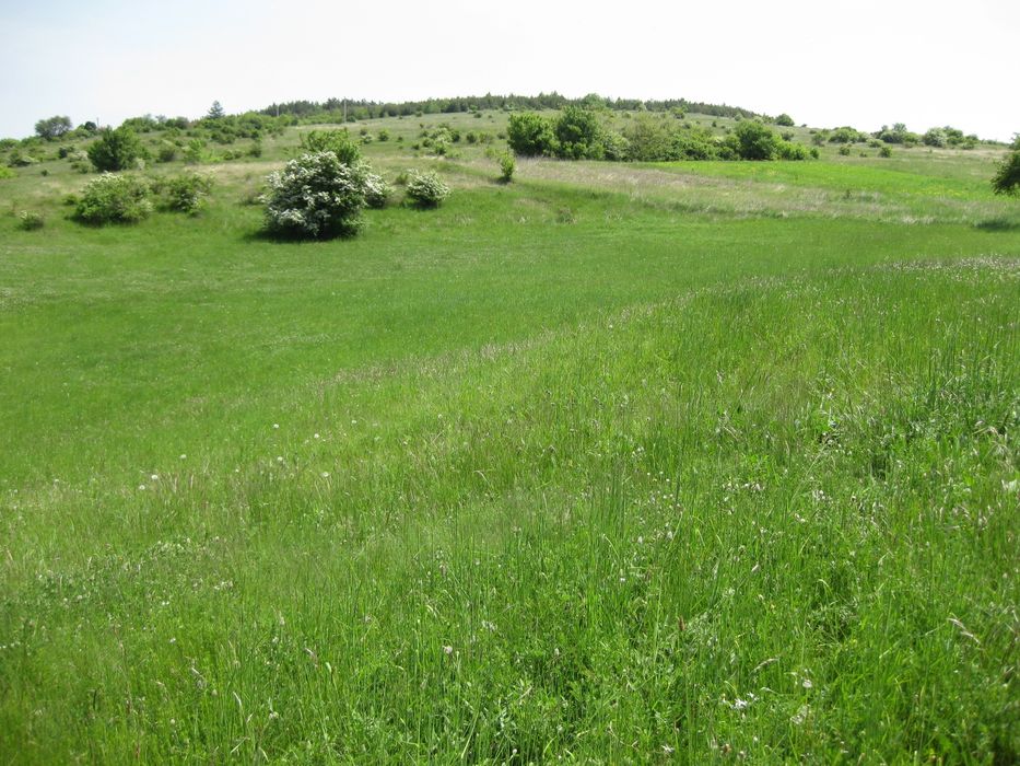 Продава се Парцел в с. Пожарево, Област София-област - 1284 кв.м за 22 €/кв.м - Снимка #1