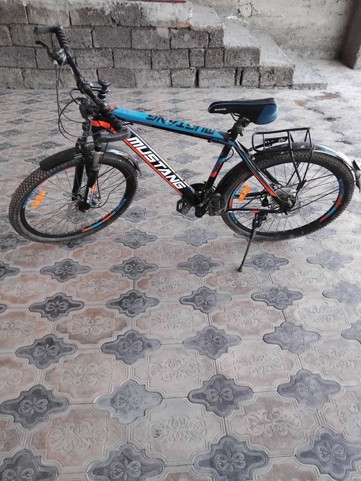 Velosapet nomi mustang.