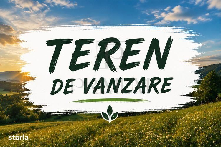 Teren- Mosnita Noua- Doua Fronturi Stradale
