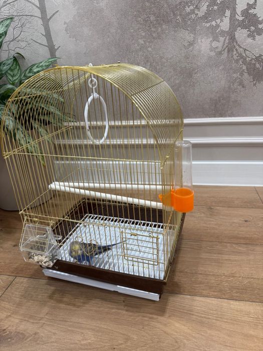 Попугай с клеткой