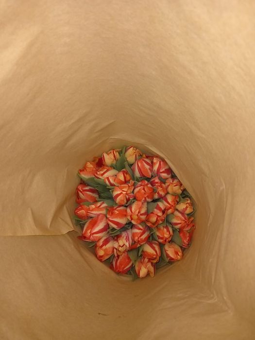 Цветы на 8-марта Тюльпаны