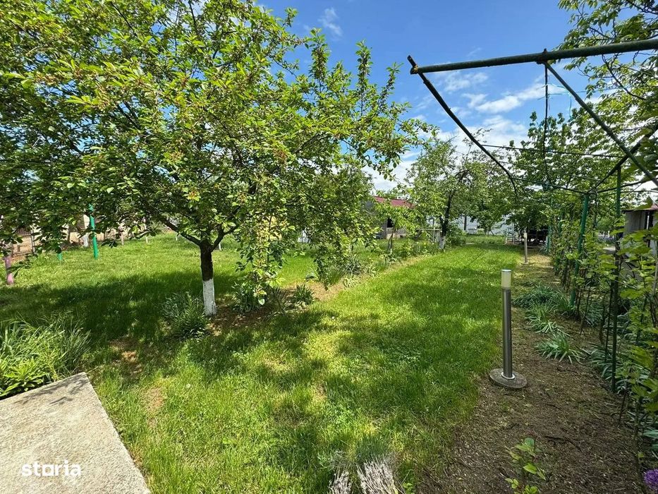 Casa cu 4000 mp teren, Letca Noua, Giurgiu — 40 min de București