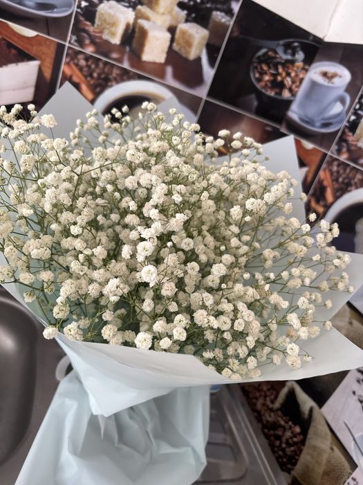 Продам цветы