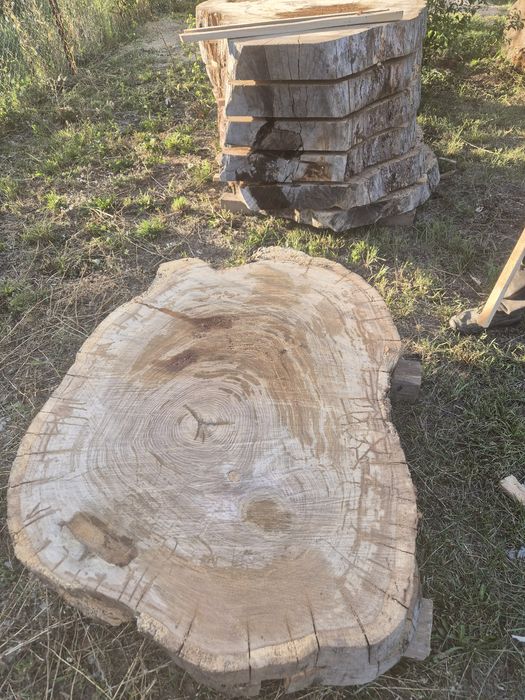 rondele(felii),blaturi stejar