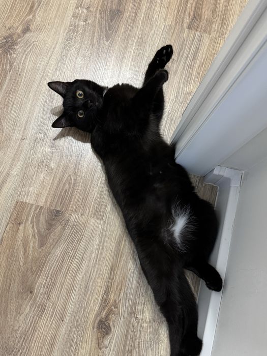 Бесплатно 10 месяц