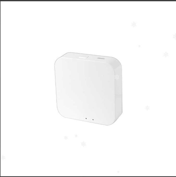 Wirelass Smart Gateway