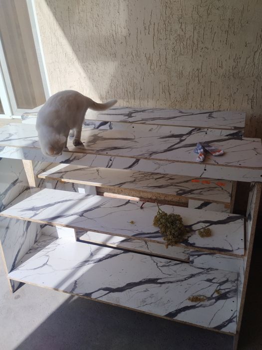 Прилавка мебель полка