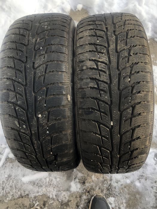 Зимние шины пара