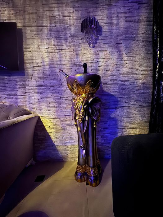 Vilă premium de închiriat – ideală pentru studio videochat sau petreceri private.