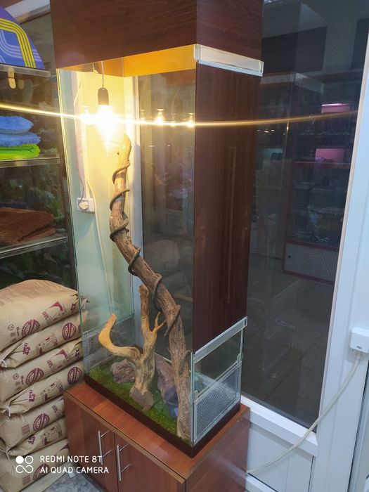 Террариум для рептилий