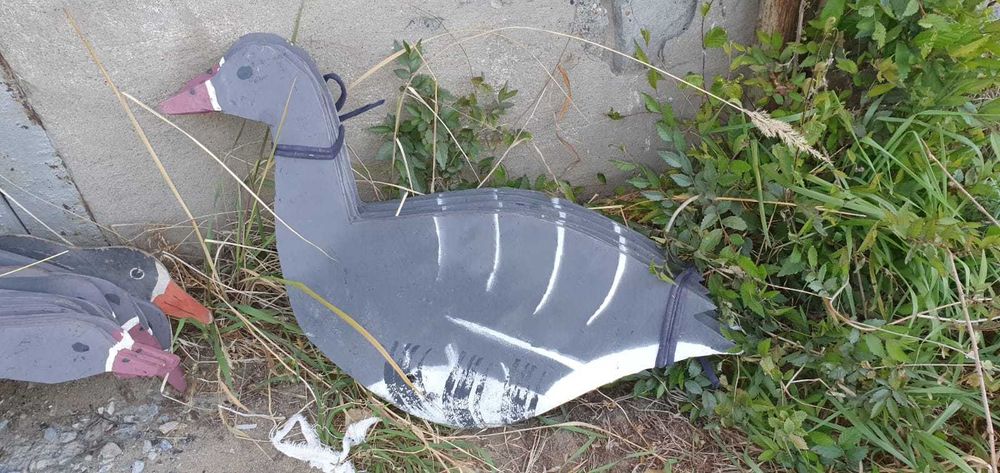 Продам профиля гусей