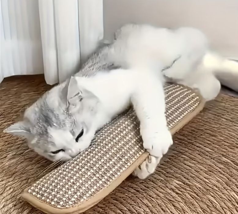 Игрушка когтеточка