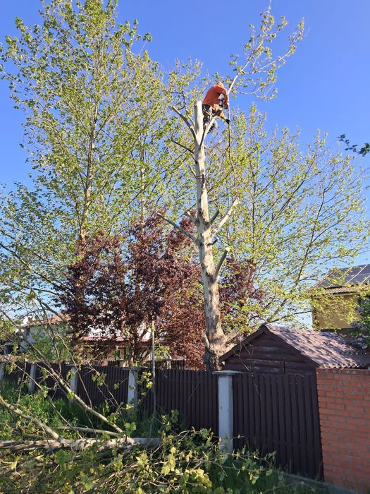 Alpiniști utilitari cu experiență de peste opt ani de zile în domeniu