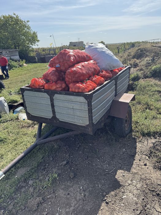 Продам картофель мешками