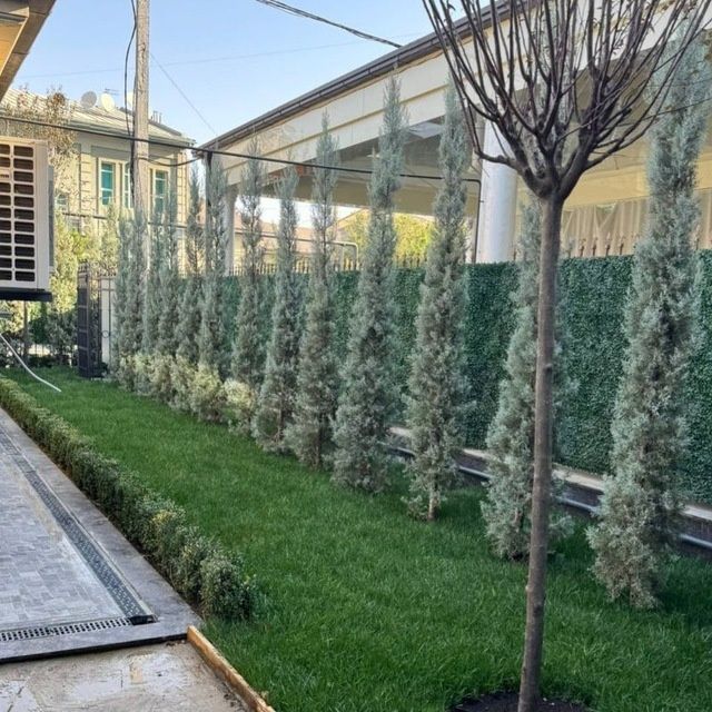 Landshaft dizayni koʻchat yetqazish