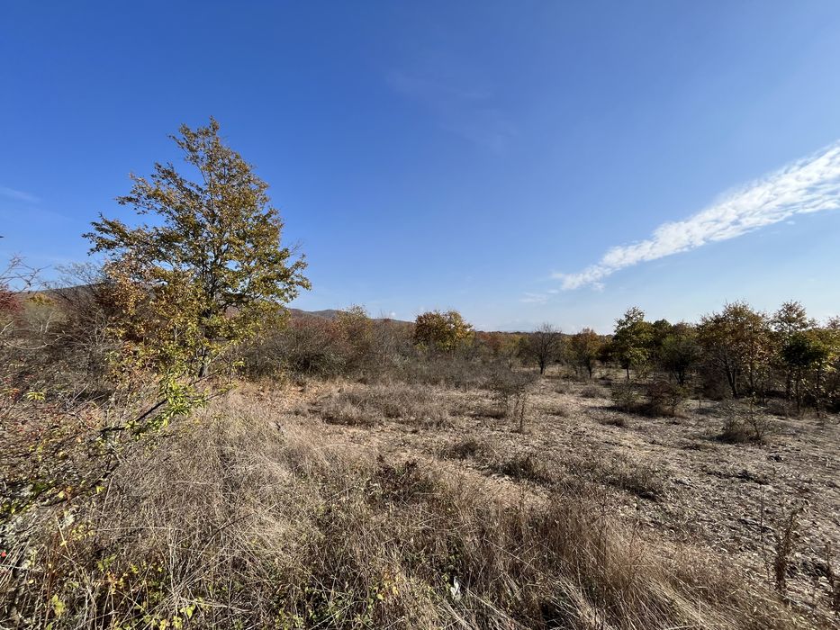 Продава се Парцел в с. Росен, Област Бургас - 1118 кв.м за 25 €/кв.м - Снимка #4