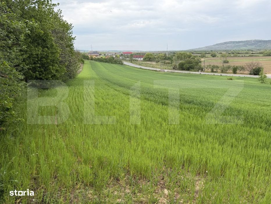 Teren intravilan in localitatea Bobota in suprafata de 12500 mp