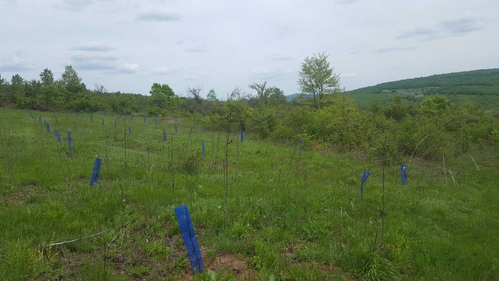 Продава се Земеделски имот в с. Горна Малина, Област София-област -  кв.м за 1222 €/дка - Снимка #2