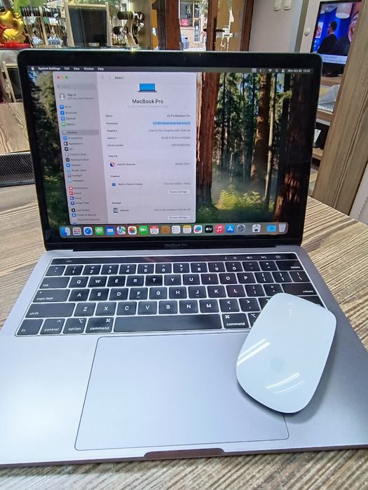 MacBook Pro (13 - inch,-2018) + Magic Mouse 2