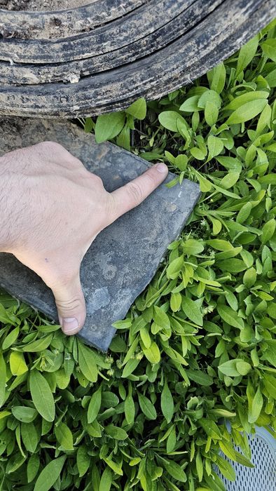 Продам советскую резину.