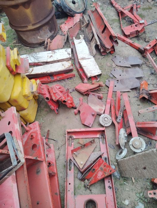 Daichi selka zabchastka