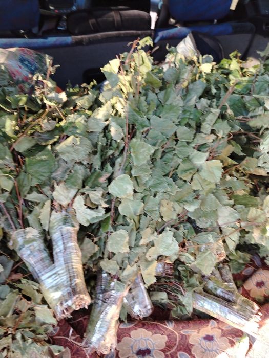 Веники урожай 2025