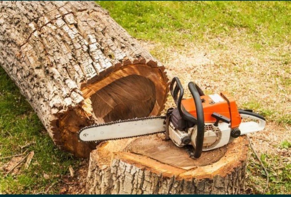 Спиливаю деревья