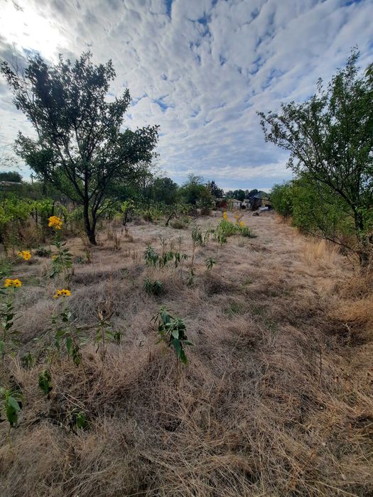 Vind casa si teren in Colacu,jud.Dimbovita