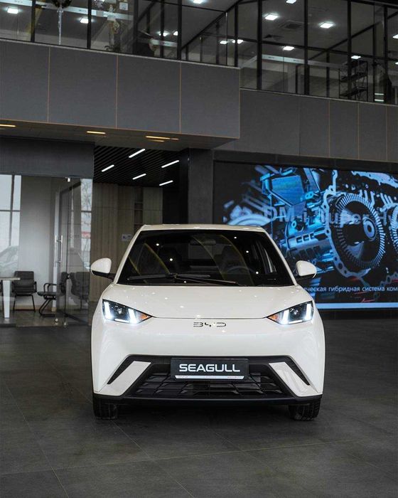 BYD Seagull чегирма асосида расмий диллердан
