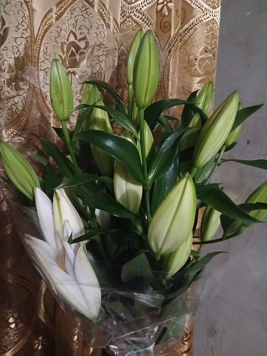 Продам          цветы