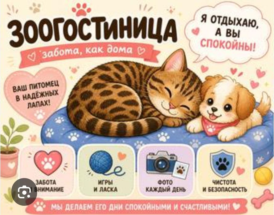 Передержка животных