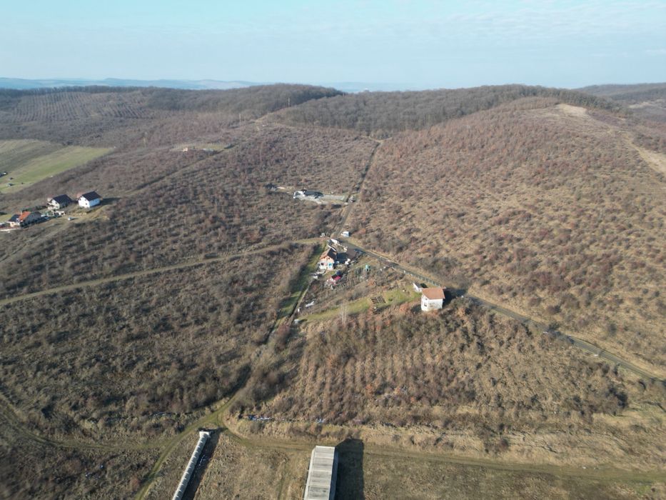 Teren de vanzare, Livezeni extravilan