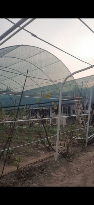 Банер килёнка брезент сетка баннер сотамиз ва урнатиб берамиз Тошкенда