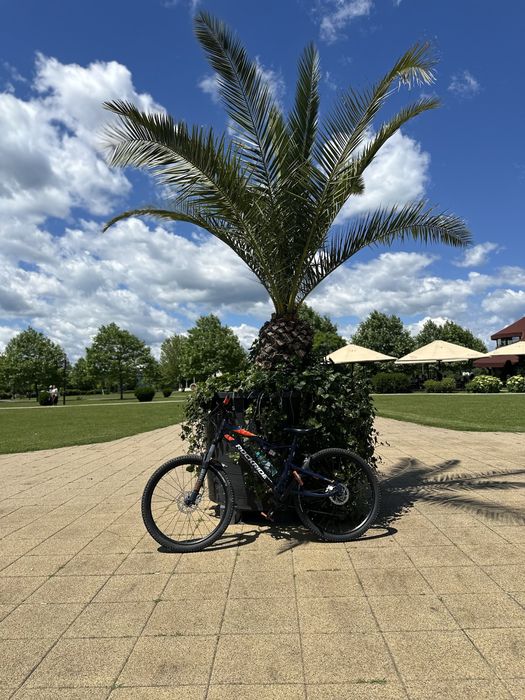vand rockrider 540s