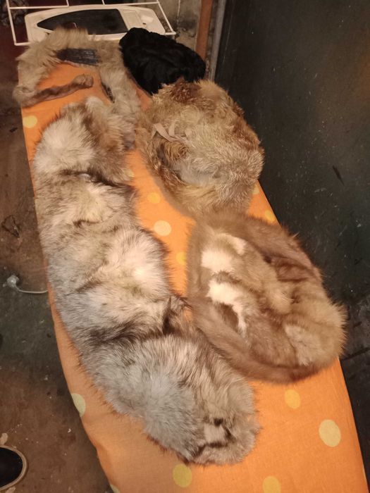 lot guler fular si caciuli din blana