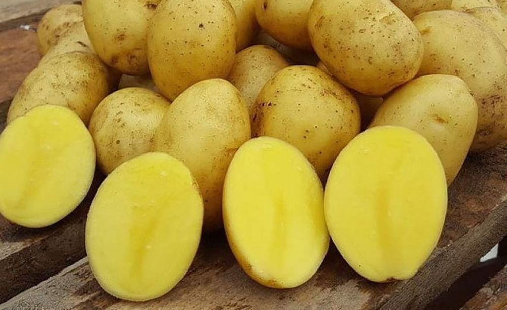 Домашняя картошка