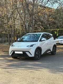 byd seagull pad zakaz