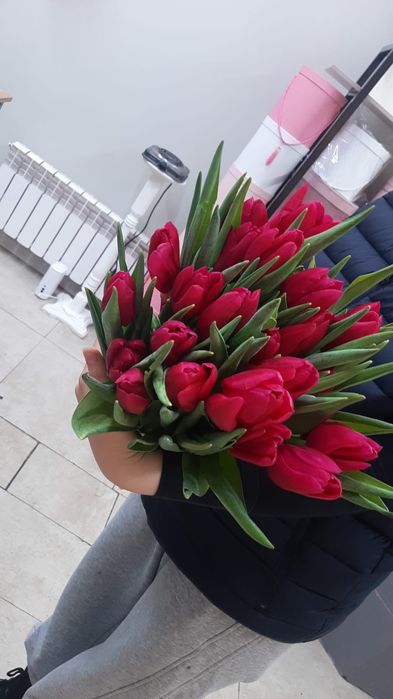 тюльпаны  290тг степногорские