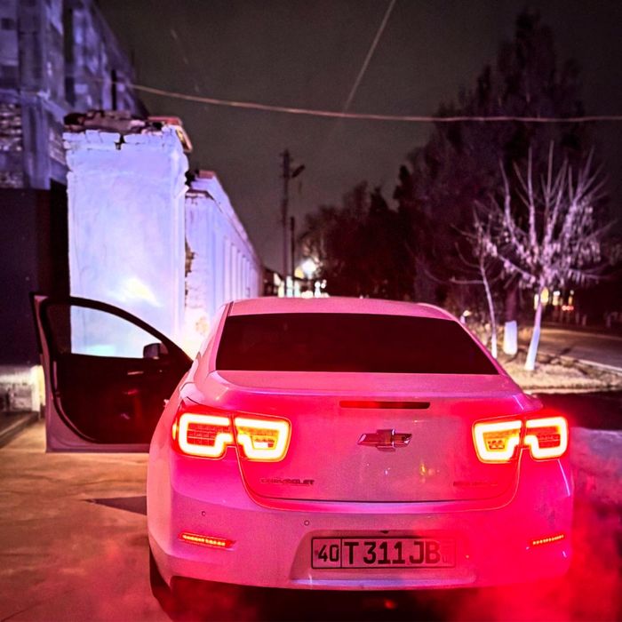 Малибу 1   3 позит.  Краска бор