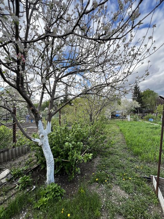 СРОЧНО!!!Продам дачу мечты