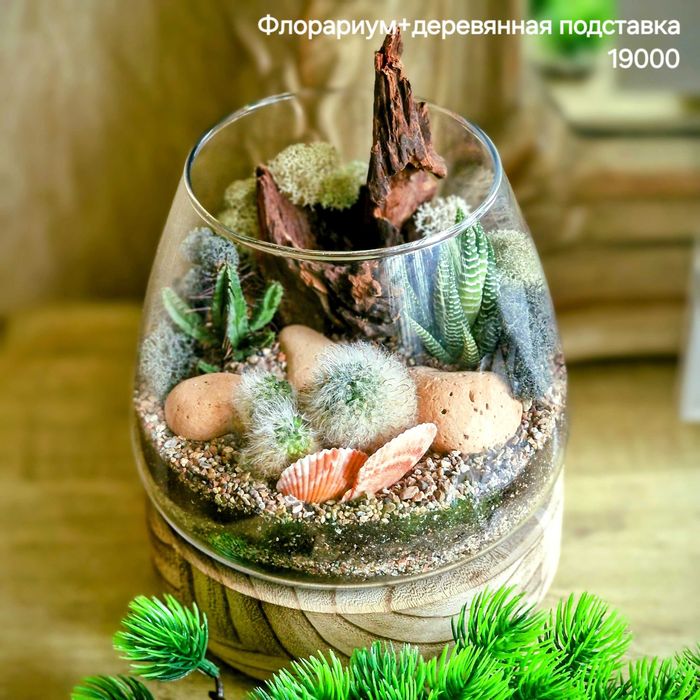 Флорариум, суккуленты